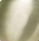 Signature Hardware Brushed Nickel Pop-Up Bathroom Drain with Overflow Holes 