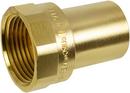 Apollo Valves FTG x Female Brass Adapter 
