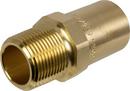 1-1/4 in. Fitting x Male Brass Adapter