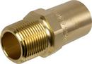 2 in. Fitting x Male Brass Adapter