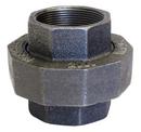 300# Black Malleable Union 
