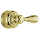 Large Single Lever Handle in Polished Brass