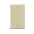 1-Gang Blank Receptacle Thermoset Nylon Wall Plate in Ivory