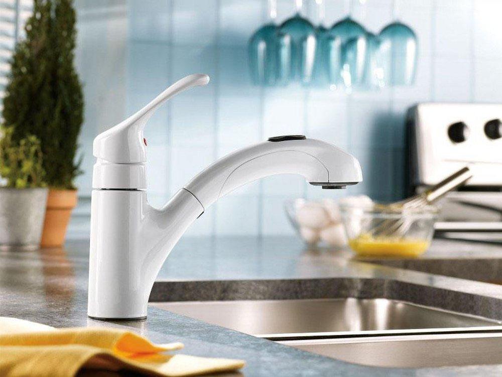 Moen Glacier Single Handle Pull Out Kitchen Faucet 