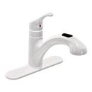 Single Handle Pull Out Kitchen Faucet in Glacier