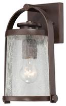100 W 1-Light Medium Lantern in Architectural Bronze