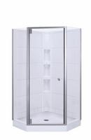 16-1/4 in. Shower Door with Clear Glass in Nickel