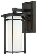 100 W 1-Light Medium Wall Mount with Etched Opal Glass in Dorian Bronze