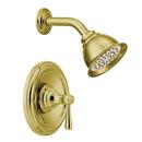 Single Handle Posi-Temp Pressure Balanced Shower Trim Only with Eco-Performance Shower Head in Polished Brass