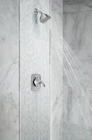 Moen Chrome Single Handle Single Function Bathtub & Shower Faucet (Trim Only) 