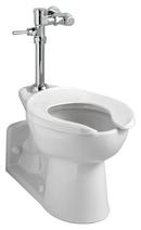 American Standard Polished Chrome 1.1 gpf Manual Closet Flush Valve 