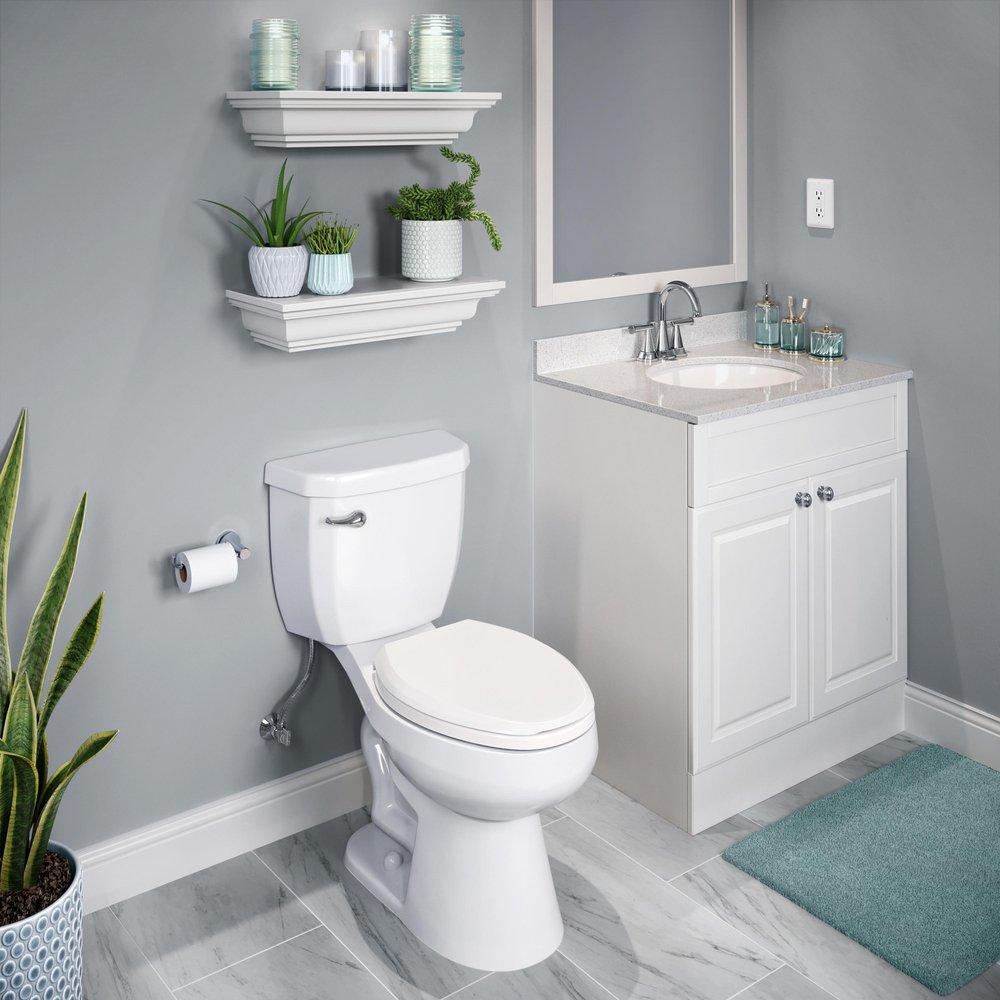 PROFLO® White 17 in. Elongated ADA Toilet Bowl 