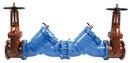 6 in. Cast Iron Flanged Backflow Preventer