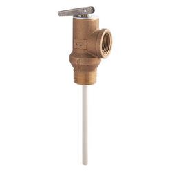3/4 in. Copper Alloy MNPT x FNPT 100# 210 Relief Valve
