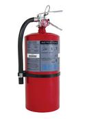 BRK Electronics Red Commercial Rechargeable Fire Extinguisher 