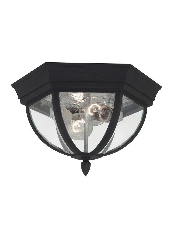 Visual Comfort & Co. Generation Lighting Black 2-Light Flushmount Ceiling Light 