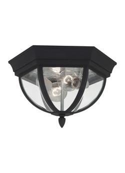2-Light Flushmount Ceiling Light in Black