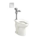 Elongated Toilet Bowl with Everclean Surface in White