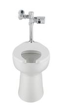 American Standard White Elongated Toilet Bowl 