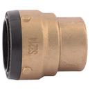 1-1/2 in. Push Brass Cap