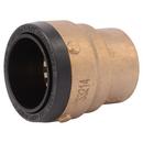 SharkBite&reg; Push Brass Cap 