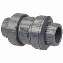 Chemtrol Dark Grey Plastic Socket Weld x Threaded Ball Check Valve 