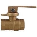 3/4 in. FIP Ball Valve with Hose Barb