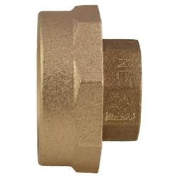1 in. Flanged x FIP Brass Coupling