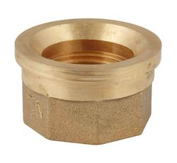 1" Female Iron Pipe Thread Swivel for Coppersetters