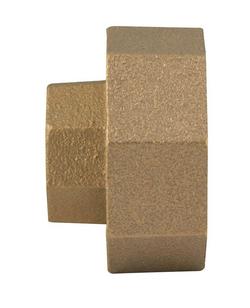 5/8 x 3/4 in. Female Flanged x FIP Brass Swivel Nut