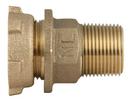 Ford Meter Box Meter Yoke x MIP Brass Coupling 