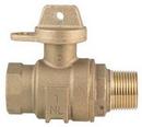 Ford Meter Box MIPT x FIPT Brass Ball Curb Valve 
