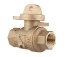 3/4 in. FIPT Brass Ball Valve Curb Stop
