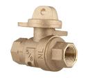Ford Meter Box FIPT Brass Ball Valve Curb Stop 