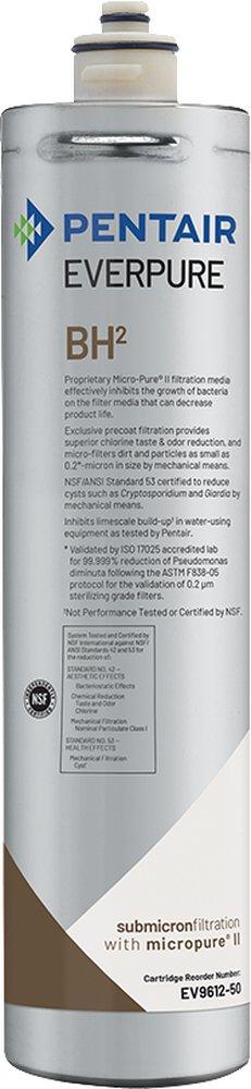 Pentair&reg; Everpure&reg; BH2 Repair Cartridge 