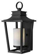 Hinkley Black 18-3/10 in. 100W 1-Light Outdoor Wall Lantern 