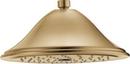 Single Function Showerhead in Brilliance® Champagne Bronze