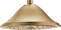 Single Function Showerhead in Brilliance&reg; Champagne Bronze
