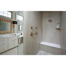 Delta Faucet Champagne Bronze Bathtub & Shower Faucet (Trim Only) 
