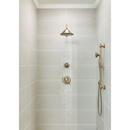 Delta Faucet Champagne Bronze Bathtub & Shower Faucet (Trim Only) 