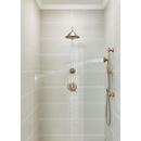 Delta Faucet Champagne Bronze Bathtub & Shower Faucet (Trim Only) 