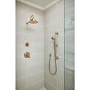 Delta Faucet Champagne Bronze Bathtub & Shower Faucet (Trim Only) 