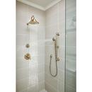 Delta Faucet Champagne Bronze Bathtub & Shower Faucet (Trim Only) 