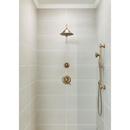 Delta Faucet Champagne Bronze Bathtub & Shower Faucet (Trim Only) 