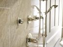 Delta Faucet Polished Nickel Bathtub & Shower Faucet (Trim Only) 