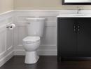 Delta Faucet Brilliance Stainless Wall Mount Toilet Tissue Holder 