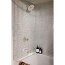 Delta Faucet Brilliance Stainless No Handle Single Function Bathtub & Shower Faucet (Trim Only) 