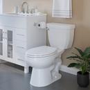 PROFLO® Polished Chrome Wall Mount Toilet Tissue Holder 