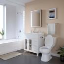 PROFLO® Polished Chrome Wall Mount Toilet Tissue Holder 