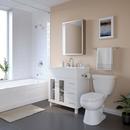 PROFLO® Polished Chrome Wall Mount Toilet Tissue Holder 